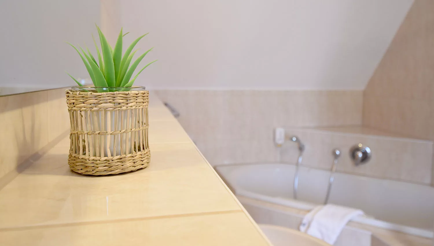 Superior Suite Bad-Detail