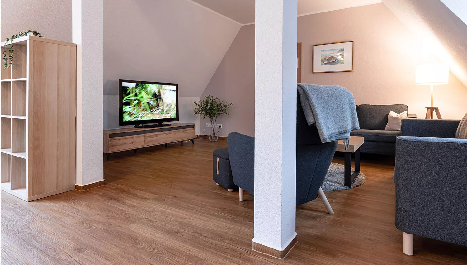 Fernsehen in SuperiorSuite