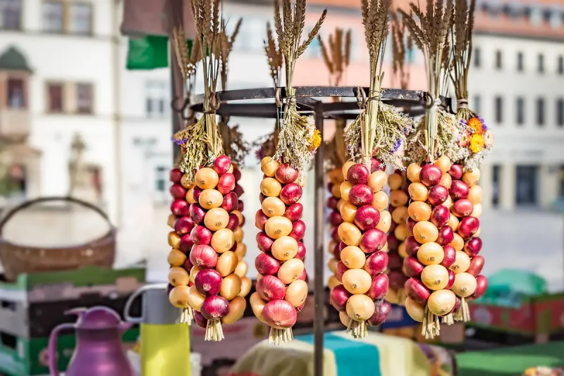 373. Weimarer Zwiebelmarkt 2026